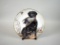 John A. Ruthven “Decoy” Ltd. Ed. (# 989/5000) Collector Plate