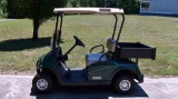 2012 Green and Tan E.Z.Go 12V Electric Two Seater Golf Cart with Cargo / Bag Tray, Model 606600G01