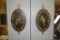 Pair of Oval Black & Gold Parrot & Floral Design Plaques