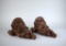 Pair of Brown Resin Ornate Wall Sconces