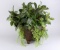 Faux Greenery in Bronze Finish Metal Planter