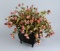 Faux Roses in Footed Bronze Finish Metal Planter