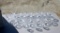 23 Pieces of Etched Crystal Stemware