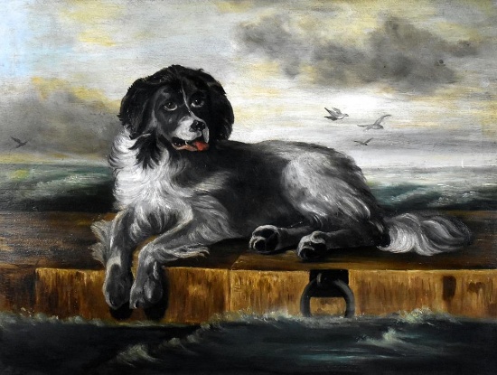 Unsigned (XX) Newfoundland Dog on Dock, Oil on Canvas in Burl Walnut Frame