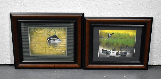 Pair of Framed Mallard Photographs, Signed