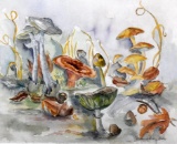 Margaret Richey Barr (XX) Mushrooms, Watercolor, Signed