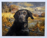 Robert Abbett (American, 1926-2015) Ltd. Ed. (493/1050) “Labrador Retriever” Print & Stamp, Signed
