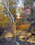 Wallace Nutting (American, 1861-1941) “Autumn Waters” Hand Colored Photograph Print, Signed