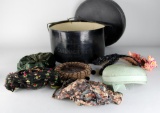 Five Vintage Ladies Hats: Mr. John and Don Marshalls with Hat Box