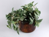 Faux Greenery in Wooden Planter