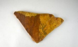 Fossilized Plant in Rock, Rock Shape of So. Carolina