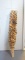 Dried Common Mullein Stalk Decor