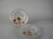 Two Vista Alegre Shallow Bowls for Mottahedeh, Portugal