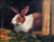 L.H. Ruey (XX-XXI) Painting of Rabbit, Oil on Canvas, Signed