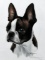 D.J. Rogers (XX-XXI) Boston Terrier, Ltd Ed. (105/1200) Print
