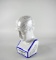Porcelain Phrenology by LN Fowler Head