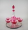 Cranberry Cut to Clear Glass Decanter & Glasses Set with Barker Ellis Silver Plate Tray