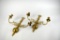 Pair of Polished Brass Two-Light Candle Sconces