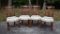 Set of 4 Mahogany Chinese Chippendale Style Dining Side Chairs, Neutral Tapestry Pattern Upholstey