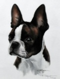 D.J. Rogers (XX-XXI) Boston Terrier, Ltd Ed. (105/1200) Print