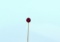 10K Gold and Ruby Stick Pin