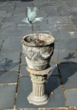 Weathered Concrete Jardiniere on Pedestal