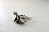 Chris Gavins Lizard on Gum Nuts Bronze Figurine