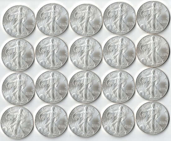 20 Brilliant Uncirculated 2002 American Eagle Coins, 1 Oz. Fine Silver Each