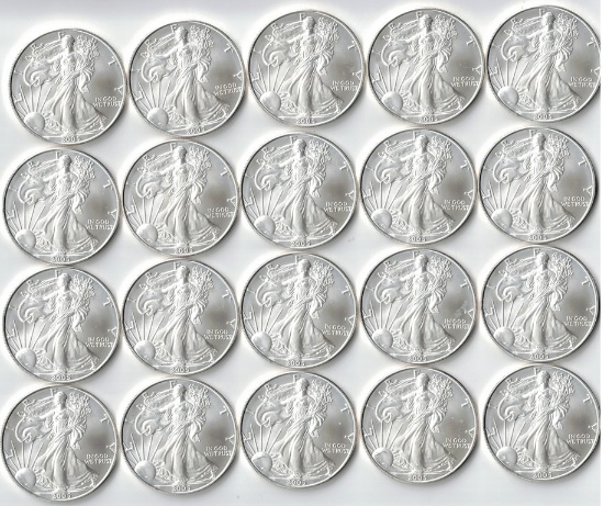 20 Brilliant Uncirculated 2005 American Eagle Coins, 1 Oz. Fine Silver Each