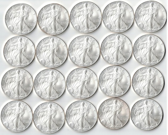 20 Brilliant Uncirculated 2007 American Eagle Coins, 1 Oz. Fine Silver Each