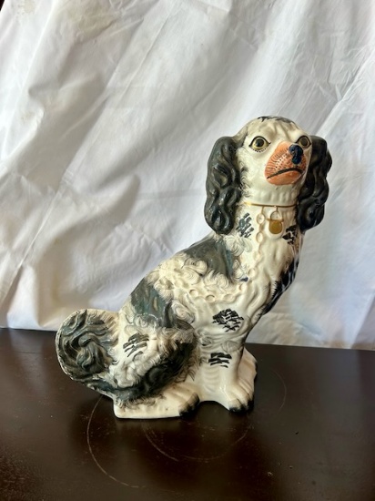 Staffordshire Black and White Spaniel Dog