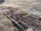 4 Section Harrow