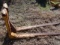 Set of Pallet Forks (Bar Type)
