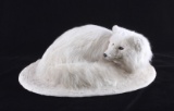 Arctic Fox Full Body Taxidermy Mount