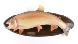 Trophy Yellowstone Cutthroat Trout Mount