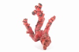 Antique Chinese Red Branch Coral Natural Tree