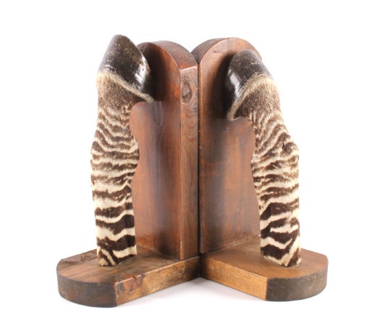 Taxidermy Zebra Leg Bookends