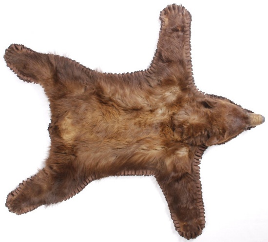 Montana Black Bear Double Mounted Taxidermy Rug