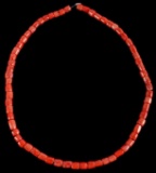 Large Pacific Branch Coral Collection Necklace