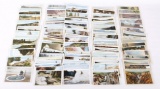 100 Different Yellowstone National Park Postcards