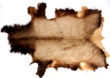 Montana Rocky Mountain Elk Hide