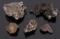 Collection of Meteorite Fragments