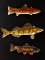 J. Strickland Hand Carved & Painted Fishing Decoys