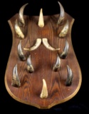 Hand Made Buffalo Horn Hat Rack