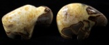 Bear & Buffalo Septarian Nodule Fetish Carvings