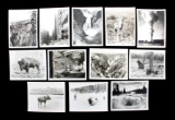 Haynes Yellowstone Park Photograph Collection