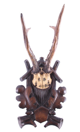 German Black Forest Roe Deer Mount Circa 1886