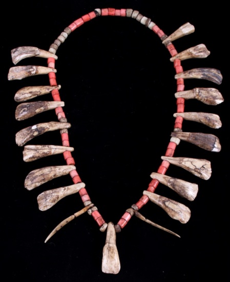 Plains Indian Trade Bead & Buffalo Tooth Necklace