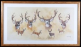 Signed Michael Schreck Deer Limited Edition Print