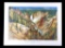 Carl Tolpo Yellowstone Park c. 1949 Litho's (25)